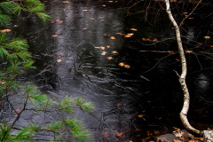 Frozen Pond in Opus 40; Saugerties, NY