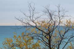 Openlands Lakeshore Preserve; Ft. Sheridan, IL