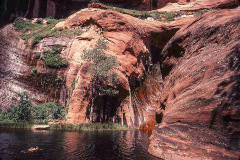 Anne enjoys Coyote Gulch, south of Escalante, UT